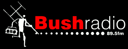 bush radio 895